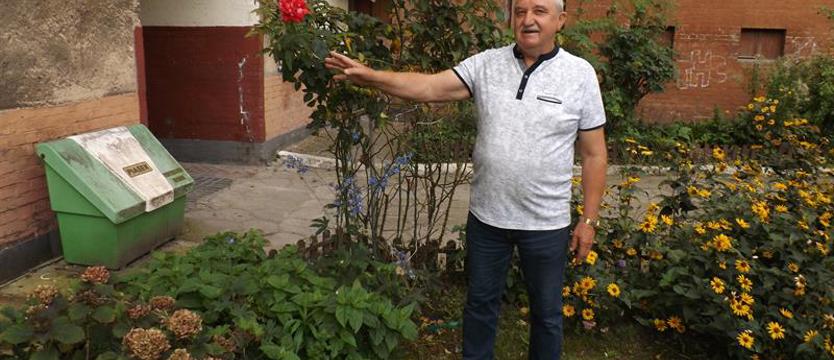 Cały Szczecin w kwiatach. Kwiaty, pszczoły i ptaki