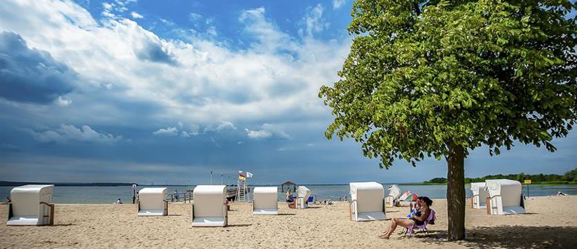 Śmierć Stepnicy? Żyją z Zalewu Szczecińskiego