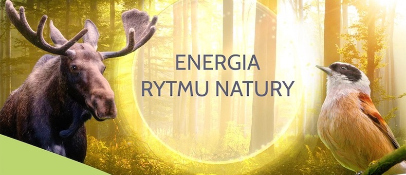 PGE Polska Grupa Energetyczna zaprasza do odwiedzania polskich parków narodowych