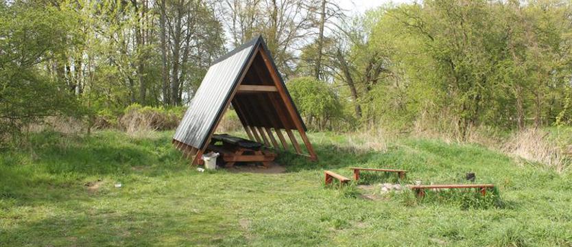 W lesie, parku, na polanie, a nawet na balkonie. Uwaga na kleszcze