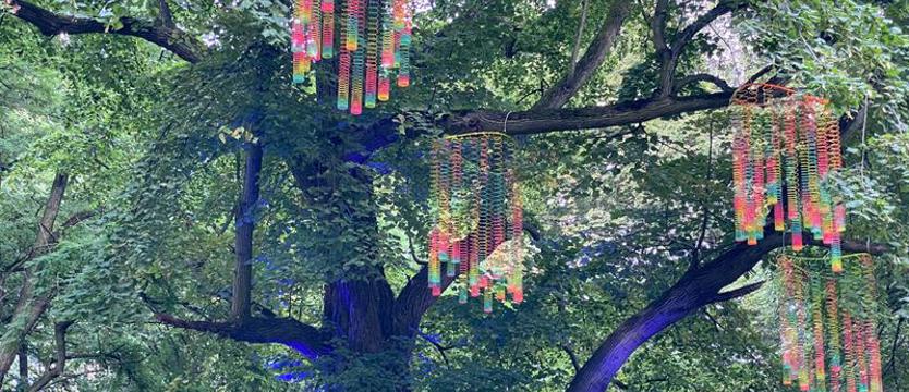 Trwają przygotowania do Iluminacji Szczecin