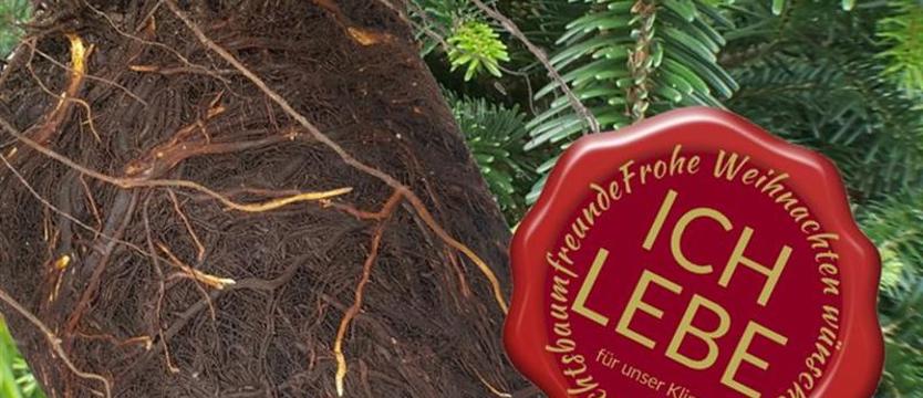 Powstają centra szczepień