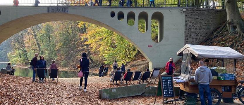 Spacer z  z rozpoznawaniem drzew i krzewów