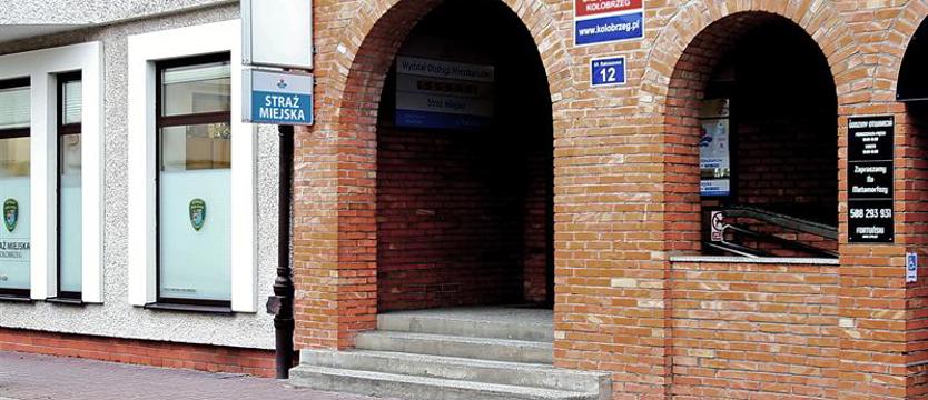 Kołobrzeskie fotopułapki strzałem w dziesiątkę