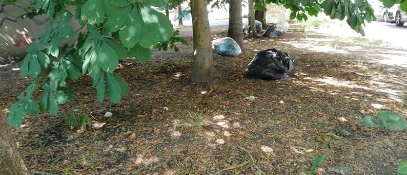 Ludzie przywykli, a szczury się cieszą. Pergola bałaganu nie zasłoni