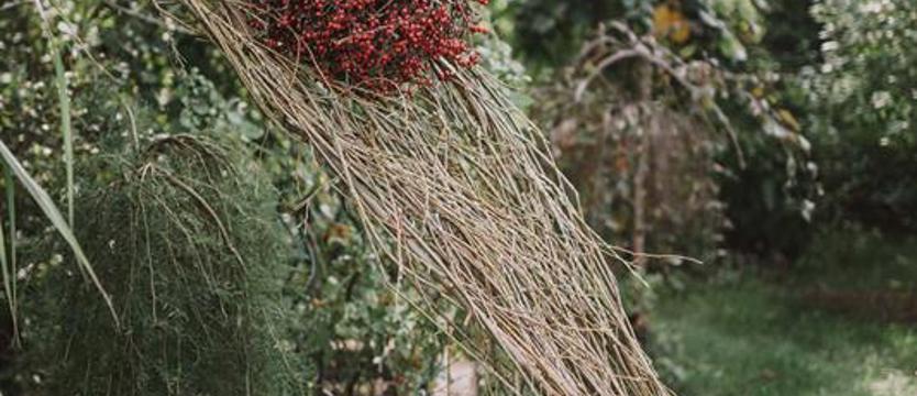 Ogrody sztuki, ogrody zimowe, wiosenne, letnie…