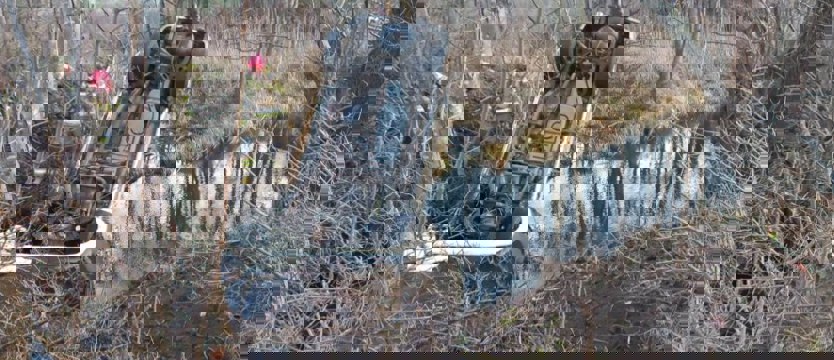 Samochód z pasażerami wjechał do rzeki