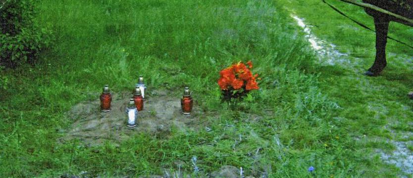 Wołyń po 77 latach. „Probaczte” nie usłyszeliśmy, ale ciągle mamy nadzieję