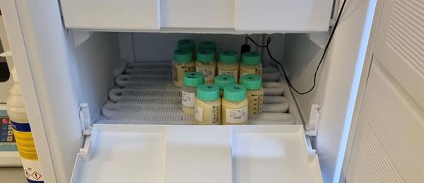 Bank potrzebuje mleka dla zdrowia wcześniaków