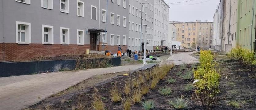 Dom dla Seniora. Nowe mieszkania do wynajęcia