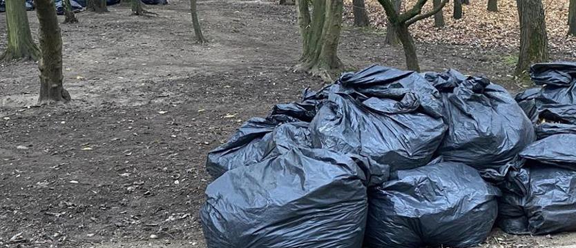 Nieznośna lekkość liści. Jakie zarządzanie miejskim parkiem?