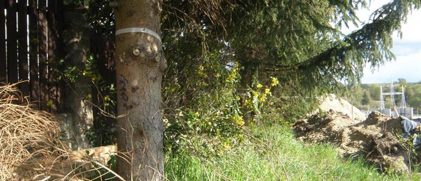 Czy zbocze wytrzyma? Tłok na skarpie