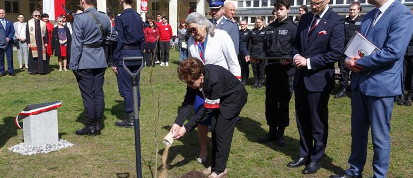 Posadzono „Dąb Pamięci”. Dla ofiary NKWD