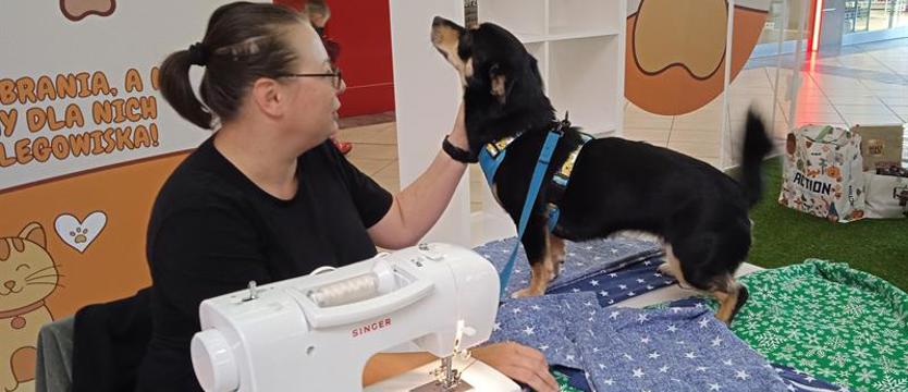 Wielka fala pomocy dla podopiecznych szczecińskiego schroniska