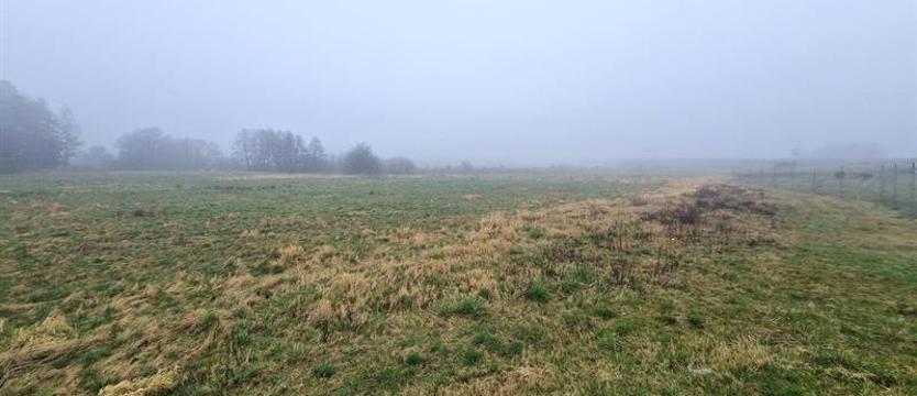 Coraz bliżej schroniska dla bezdomnych zwierząt w Kołobrzegu