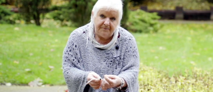 Florystyczna pajęczyna