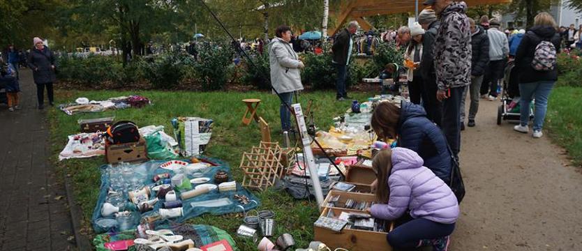 Niedziela i tropienie skarbów. Pchli targ na Pogodnie