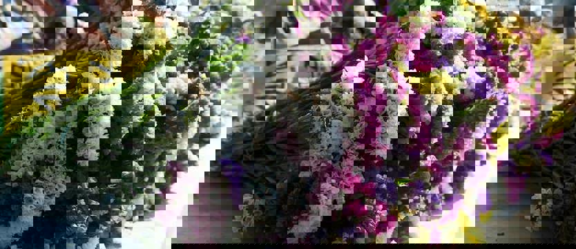 Dziś Święto Wniebowzięcia Najświętszej Maryi Panny