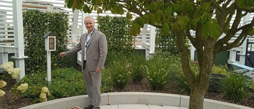 Dachy dla pszczół – także w Szczecinie?